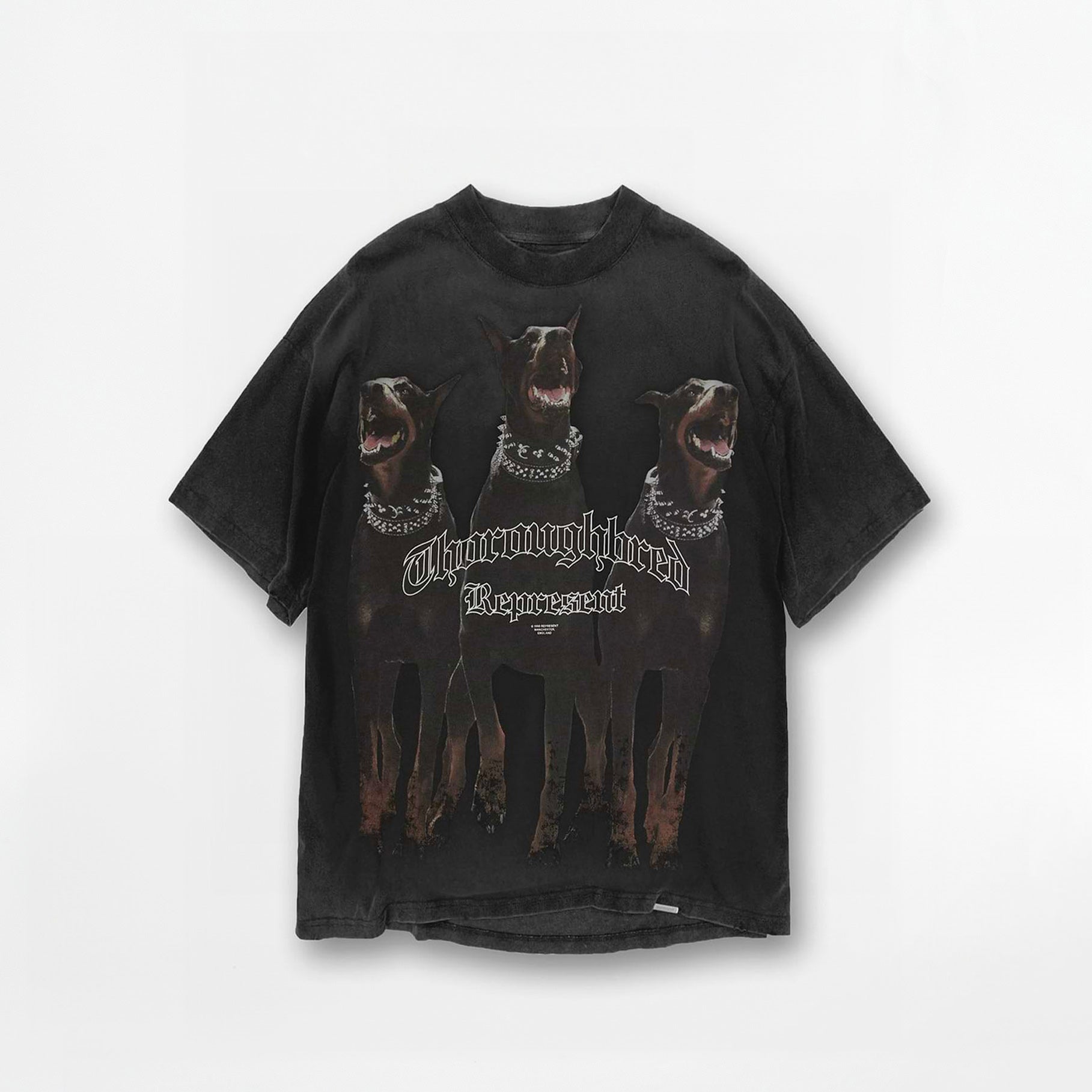 T-shirt Represent Thoroughbred Noir Vintage