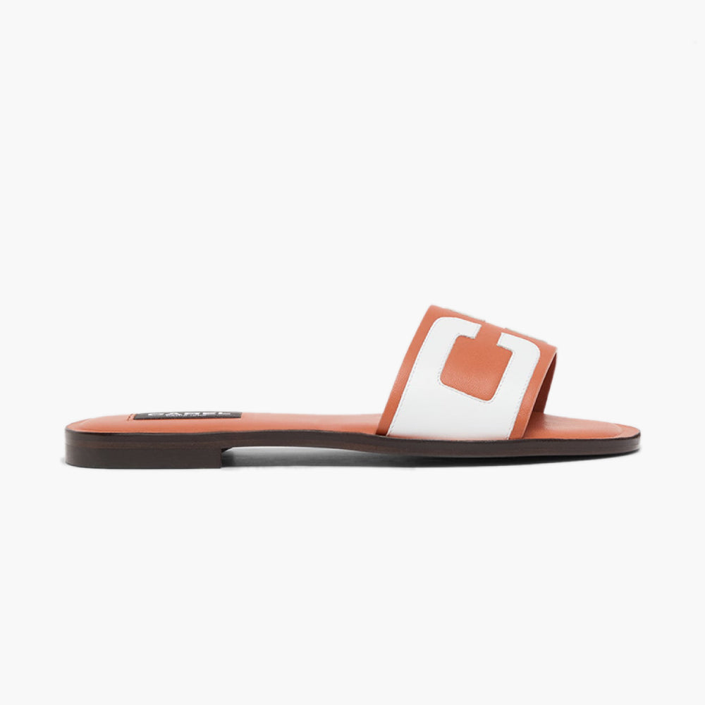 Mules plates Brasilia